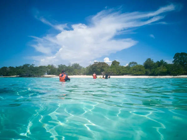 Les Gens Masque Plongée Avec Tuba Plongent Sous Eau Avec — Photo