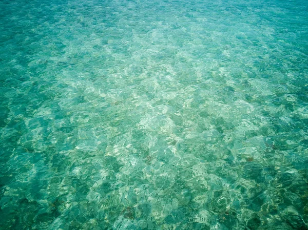 Pequeños Peces Que Luchan Por Comida Agua Cristalina Turquesa Semporna —  Fotos de Stock