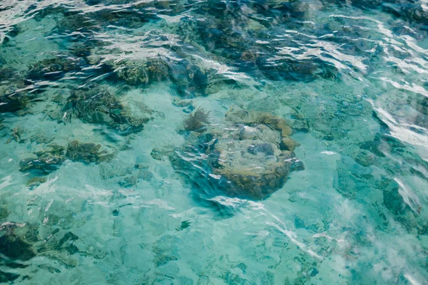 Agua Cristalina Con Arrecife Coral Tropical Bajo Las Olas Del — Foto de Stock