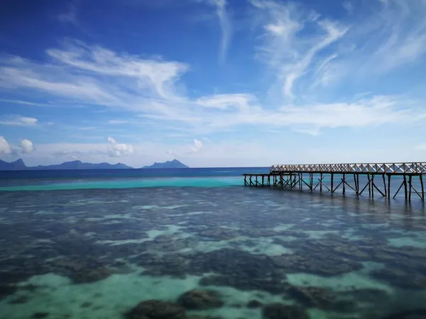 Live Coral Low Tide Sampoerna Sabah Malaysia — Stock Photo, Image