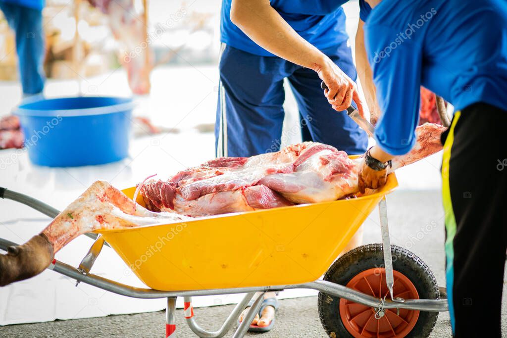 Raw meat from animal slaughtering performed on one to third day of Hari Raya Aidil Adha in Malaysia. Meat transported using clean wheel barrow during process.