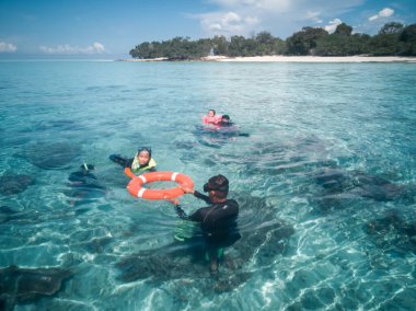 Şnorkelle yüzen maskeli insanlar mercan resiflerindeki deniz havuzunda tropikal balıklarla suya dalıyorlar. Seyahat yaşam tarzı, su sporları, açık hava macerası, çocuklarla yüzen aile yaz tatili.