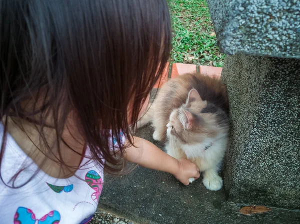 Asiático Criança Brincando Com Gato Parque — Fotografia de Stock