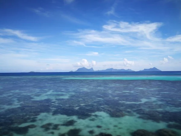 Live Coral Low Tide Sampoerna Sabah Malaysia — Stock Photo, Image