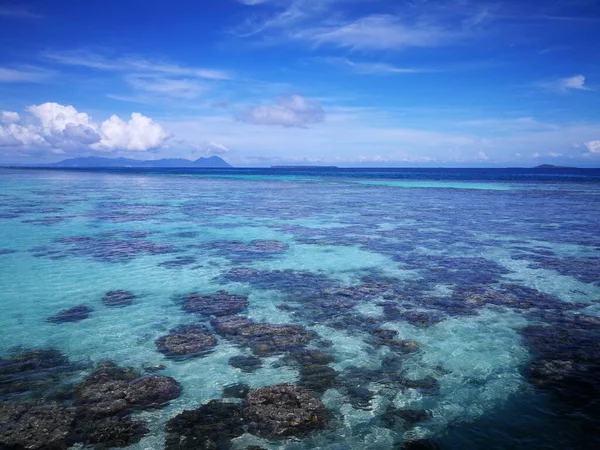 马来西亚沙巴州Sampoerna的低潮活珊瑚 — 图库照片