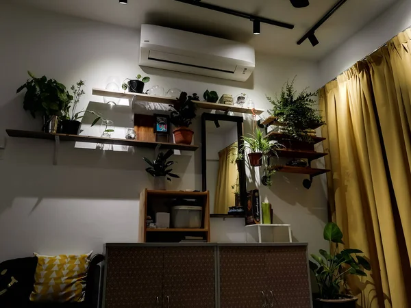 房间里白墙上白色架子上的绿色植物 植物架 室内植物概念 — 图库照片
