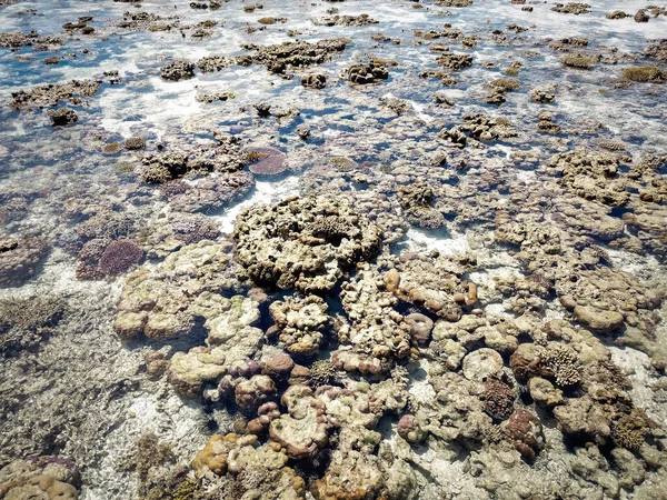 Barriera Corallina Bassa Marea Nell Isola Vicino Pulau Bum Bum — Foto Stock