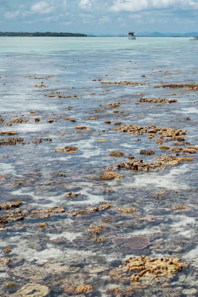 Heller Malerischer Blick Auf Raue Korallenriffe Die Bei Ebbe Einem — Stockfoto
