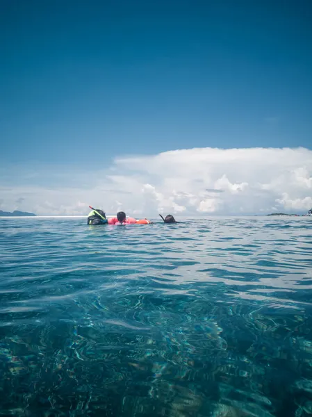 Pessoas Mergulho Máscara Snorkeling Subaquático Com Peixes Tropicais Piscina Recifes — Fotografia de Stock