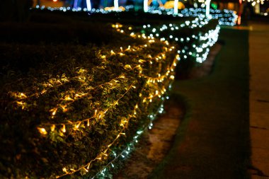 Bahçe çalılıklarında süsleme ışığı kutlaması, soyut görüntü bulanık arka plan