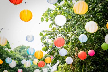 Arkaplanda ağaçlar ve gökyüzü asılı renkli kağıt fener..