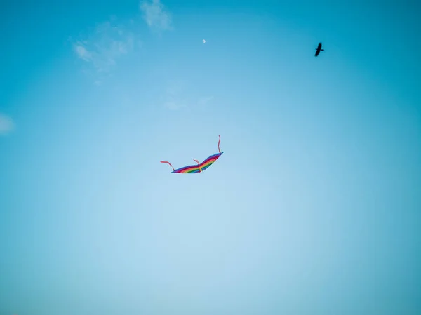 五颜六色的风筝在风中飞翔蓝天 — 图库照片