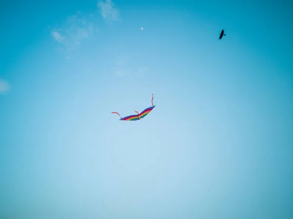 Colorful Kite Flying Wind Blue Sky — Stock Photo, Image