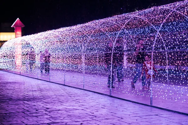 Incroyable Festival Lumière Concept Noël — Photo