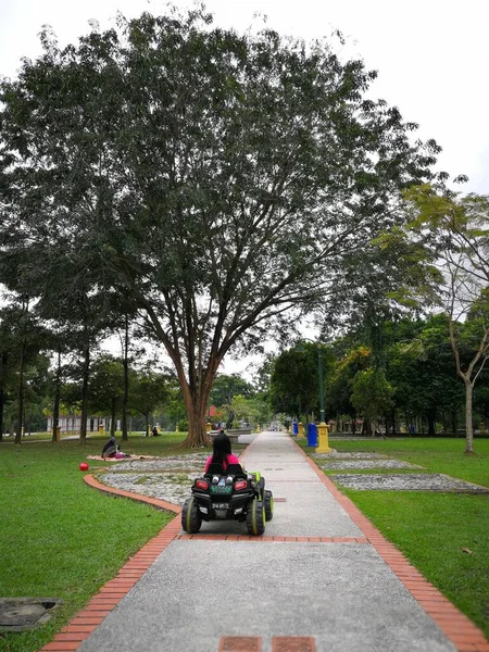 Ein Asiatisches Kind Steuer Eines Elektrischen Spielzeugautos Einem Tropischen Park — Stockfoto