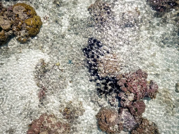 Coral Reef Low Tide Island Pulau Bum Bum Semporna Sabah — Stock Photo, Image