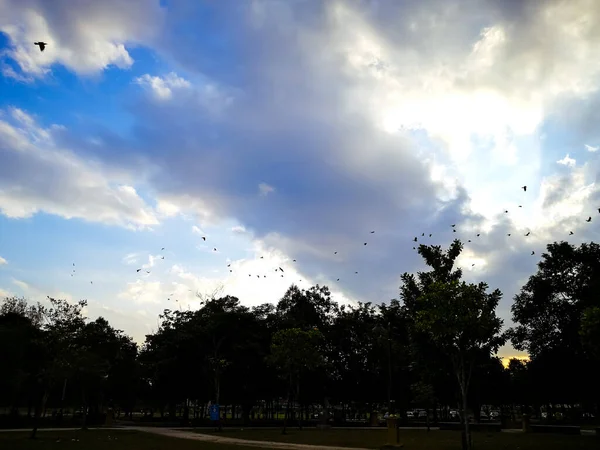 Schöner Blick Auf Die Stadt Des Parks — Stockfoto