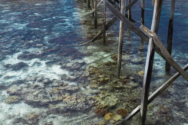 Coral reef around an island in Celebes Sea during low tide, which makes amazing scenery and shows small marine organisms. Remote islands in Bum Bum Island with healthy coral reef.