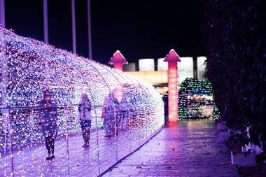 İnanılmaz ışık festivali, Noel konsepti 