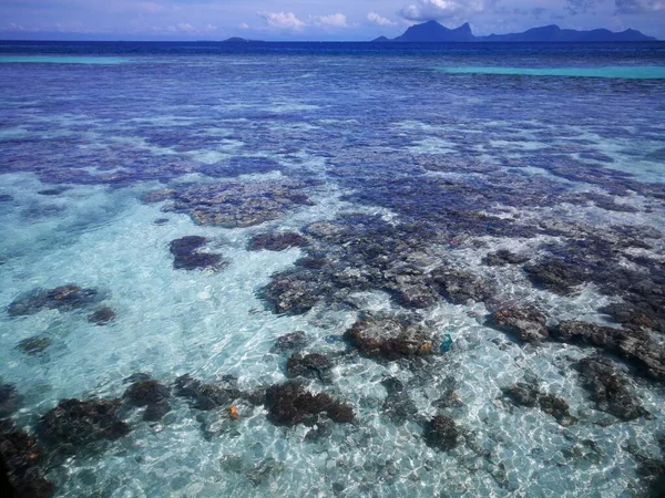 山波尔纳岛低潮期间 珊瑚礁上方阳光明媚的风景 在低潮期间 我们可以看到大堡岛周围的许多珊瑚礁和海鱼 — 图库照片
