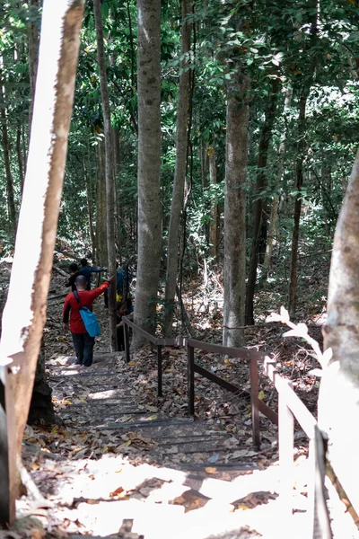 Personnes Non Identifiées Descendant Les Escaliers Dans Jungle Sentier Trekking — Photo