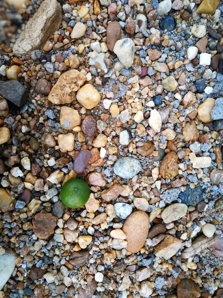 Background Pebbles Stones Sea Shore — Stockfoto