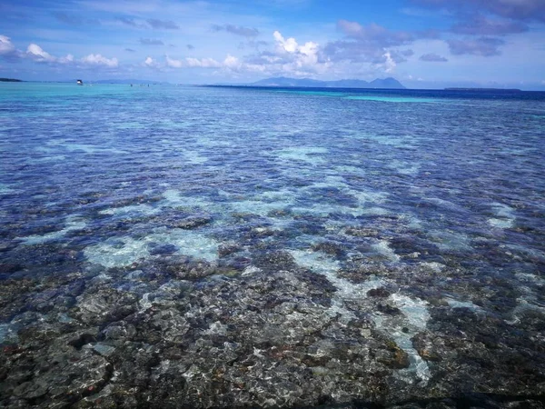 Paysage Journée Ensoleillée Dessus Récif Corallien Pendant Marée Basse Dans — Photo