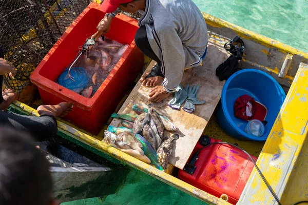 Peixe Cru Fresco Barco Pescador Para Ser Vendido Aos Clientes — Fotografia de Stock