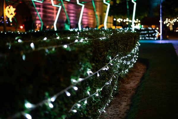 Decoración Celebración Navidad Luz Los Arbustos Jardín Imagen Abstracta Borrosa — Foto de Stock
