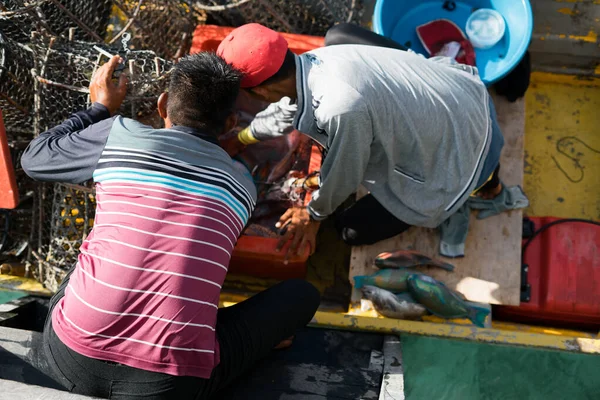 Семпорна Малайзия Ноября 2019 Года Фишман Продает Сырую Рыбу Кухню — стоковое фото