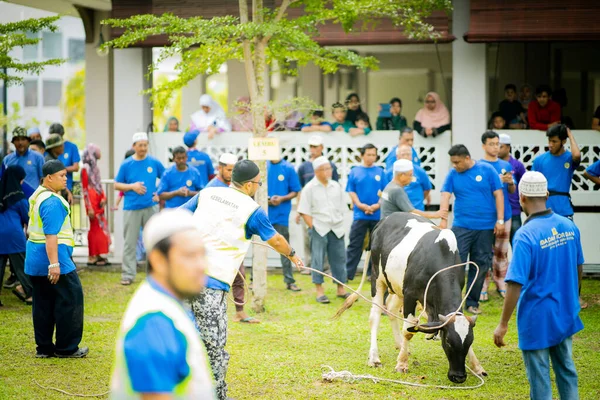 Selangor Malajsie Srpna 2019 Obětní Hostina Známá Také Jako Hari — Stock fotografie