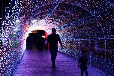 İnanılmaz ışık festivali, Noel konsepti 