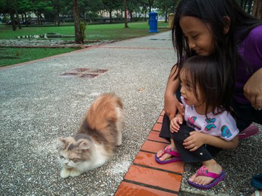 Parkta kediyle oynayan Asyalı çocuklar.