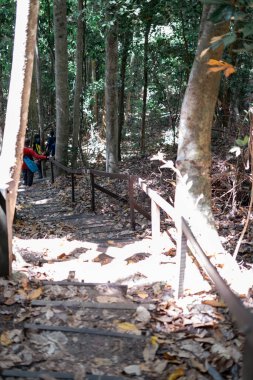 Tanımlanamayan insanlar Bohey Dulang, Borneo, Sabah 'da merdivenlerden iniyorlar..