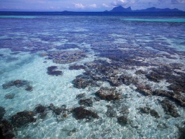 Semporna Adası 'ndaki alçak gelgit sırasında mercan resifinin üzerinde güneşli bir gün. Gelgit sırasında Bum Bum Adası çevresinde bir sürü mercan resifi ve deniz balığı görebiliriz..