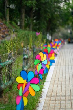 Parkta renkli gökkuşağı fırıldağı.