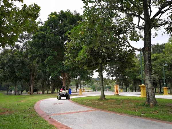 Kleines Mädchen Spielt Spielzeugauto Park — Stockfoto