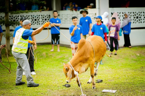 Selangor Malajsie Srpna 2019 Obětní Hostina Známá Také Jako Hari — Stock fotografie