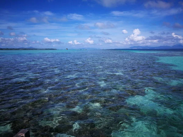 Paysage Journée Ensoleillée Dessus Récif Corallien Pendant Marée Basse Dans — Photo