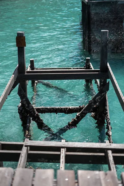 Houten Skelet Met Koralen Het Turquoise Groene Water Semporna Sabah — Stockfoto