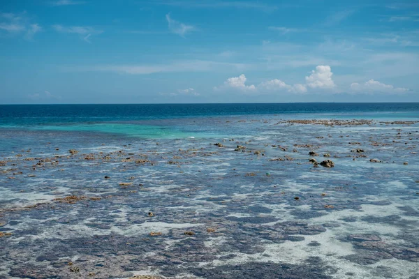 Vue Panoramique Lumineuse Récif Corallien Rugueux Exposé Marée Basse Sur — Photo