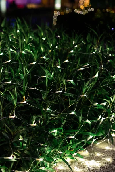 Bahçe Çalılıklarında Süsleme Işığı Kutlaması Soyut Görüntü Bulanık Arka Plan — Stok fotoğraf