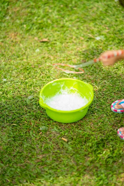Bubbles Dishwashing Liquid Bowl Garden Park — Stock Photo, Image