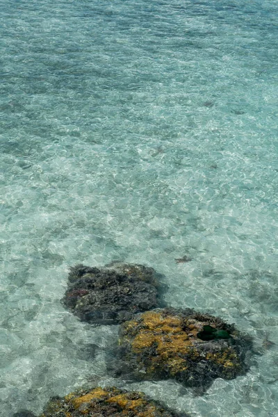 Coral Vivo Maré Baixa Sampoerna Sabah Malásia — Fotografia de Stock