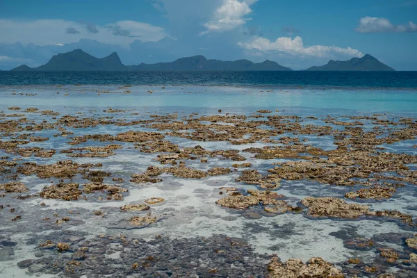 Vue Panoramique Lumineuse Récif Corallien Rugueux Exposé Marée Basse Sur — Photo