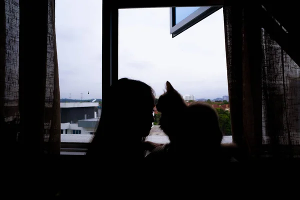 Silhouette Une Petite Fille Avec Chat Près Fenêtre — Photo