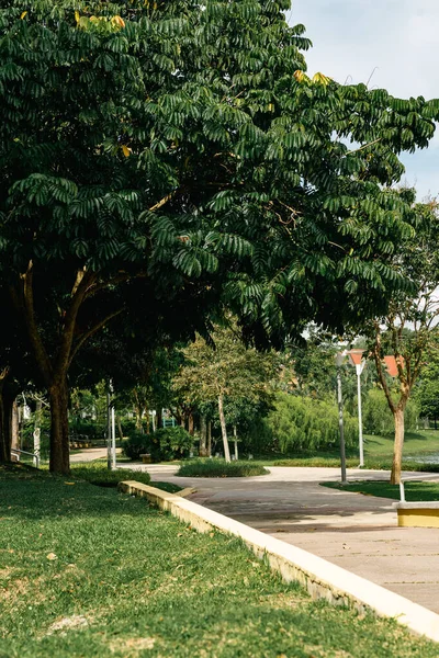 木やコンクリートの通路がある近代的な公園 後ろから見た子供の散歩 — ストック写真