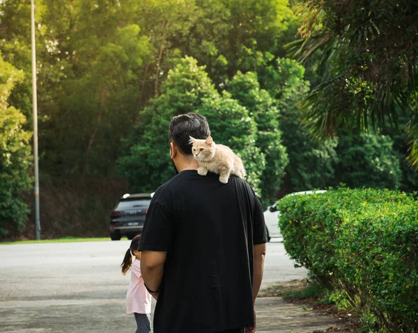 Munchkin Kat Ligt Nek Van Een Man Van Middelbare Leeftijd — Stockfoto