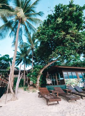 Ağaçlı tropik tatil köyünün düşük açılı görüntüsü.