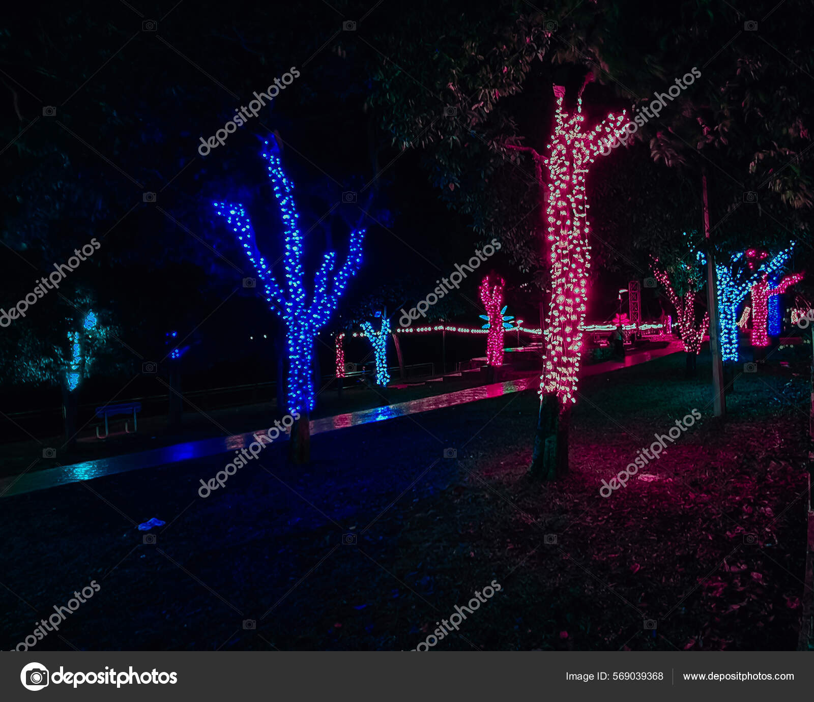 Envolver Árboles Aire Libre Con Luces Led Colores Para Decoración — Foto de  stock #569039368 © ellinnur, image size:1600x1380